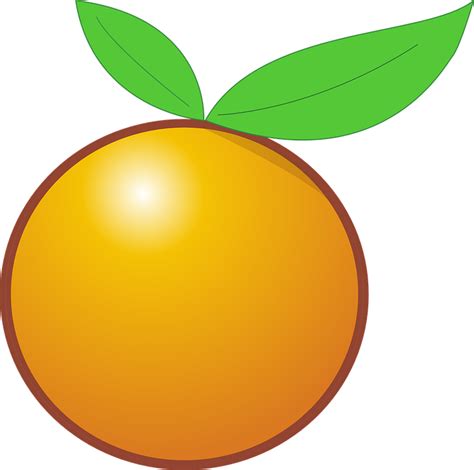 Belah jeruk menjadi dua bagian, lalu tekan ke bagian ujung sambil diputar. 무료 벡터 그래픽: 오렌지, 과일, 감귤류의, 건강 한, 자몽, 귤, 오렌지 주스 - Pixabay의 ...