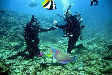 Scuba Diving In Boracay Boracay 2024 Images Timings Holidify