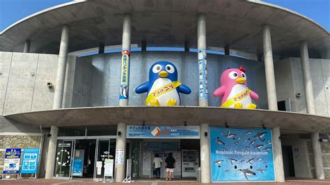 Nagasaki Penguin Aquarium Youtube