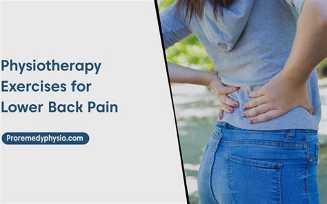 Best Physiotherapy Exercises For Lower Back Pain Proremedy Physio