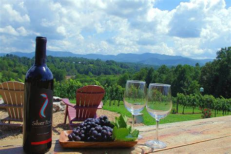 Asheville Nc Wineries And Winery Tours