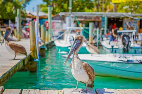 Is Islamorada Worth Visiting Reasons You Should Visit Budget Your Trip
