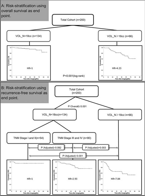 Risk Stratification Rules For Patient Survivala Patient Risk Layers