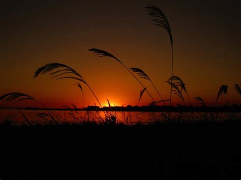 Sol Bonito Natureza Raio De Foto Gratuita No Pixabay Pixabay