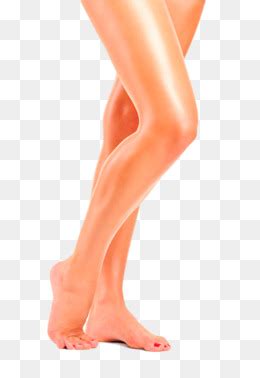 Collection Of Legs HD PNG PlusPNG