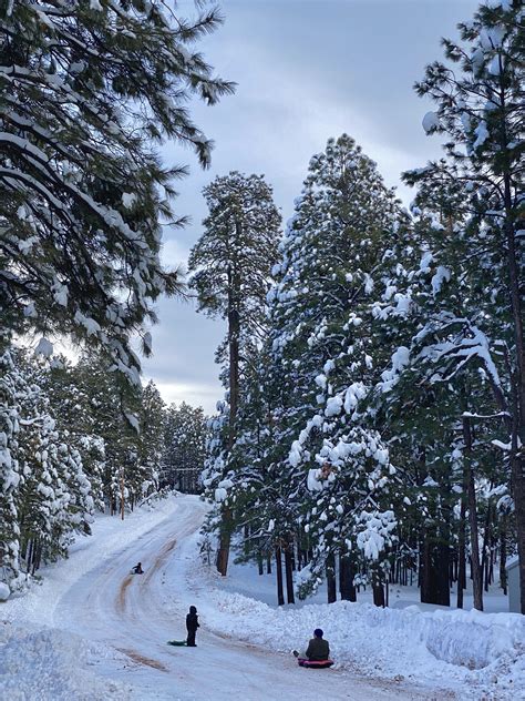 Kids sledding down a frozen street near Heber. I’ve been sending pics