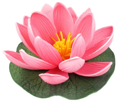 If you have any questions or would like to speak to us about water lily control, please feel free to call us at: Small Floating Foam Water Lily Flower, For Small Water ...