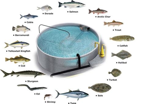 Types Of Aquaculture And Recent Advances Toward Farming