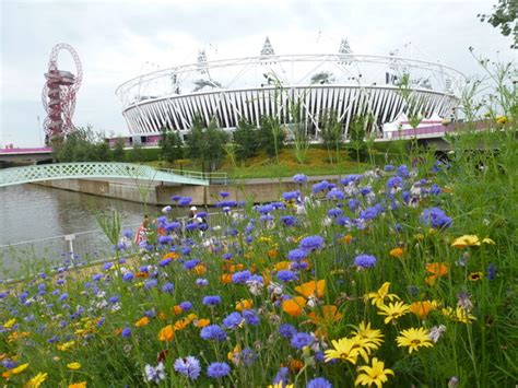 Stratford Wild Flowers In The Olympic © Chris Downer Geograph