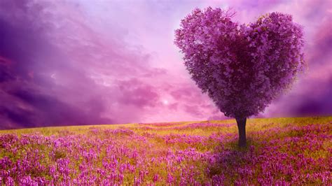 Spring Wallpapers High Quality Download Free