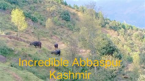 Gojri Song With The Beautiful Views Of Abbaspur Kashmir Youtube