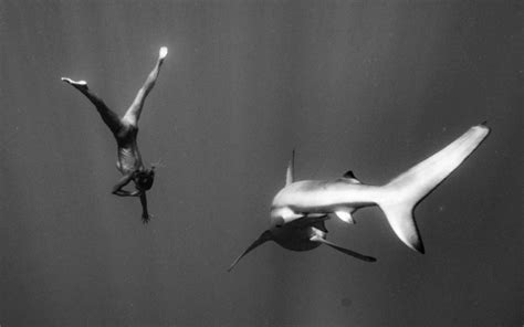 Model Marisa Papen Doet Een Naaktshoot Terwijl Ze Zwemt Tussen De