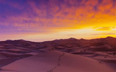 Nature Landscape Sand Dunes Sky Sunset Clear Sky Sahara Desert