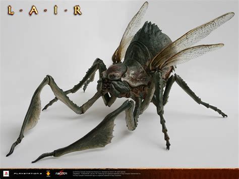 Download Giant Insect Wallpaper 1600x1200 Wallpoper 233452