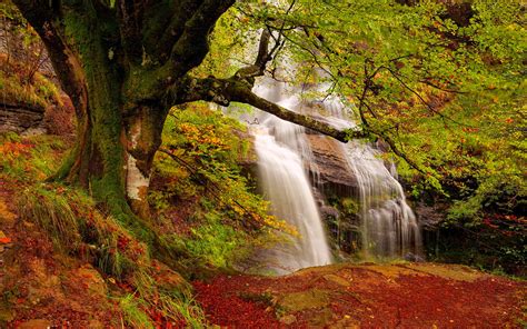 Download Fall Nature Waterfall Hd Wallpaper