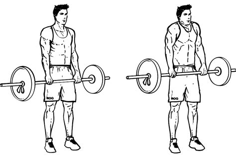 Free Workout Weightless Barbell Exercises · Workoutlabs Fit