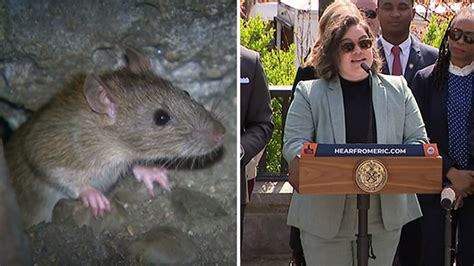 New York Rat Czar Meet Kathleen Corradi