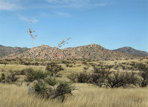 Clear Arizona Morning Photograph By Gordon Beck Fine Art America
