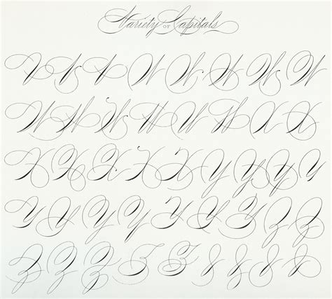 Spencerian Capitals 1200 Dpi 06 Free Calligraphy Fonts Calligraphy