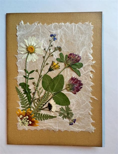 Nature Bookmarks Pressed Flower Bookmarks Set Of 4 Botanical Etsy