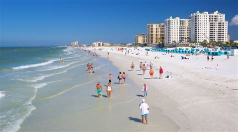 10 Top Things To Do In Clearwater November 2022 Expedia