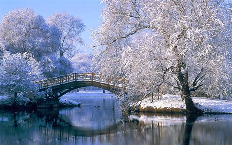 Beautiful Winter Scenery Wallpaper Wallpapers And Pictures