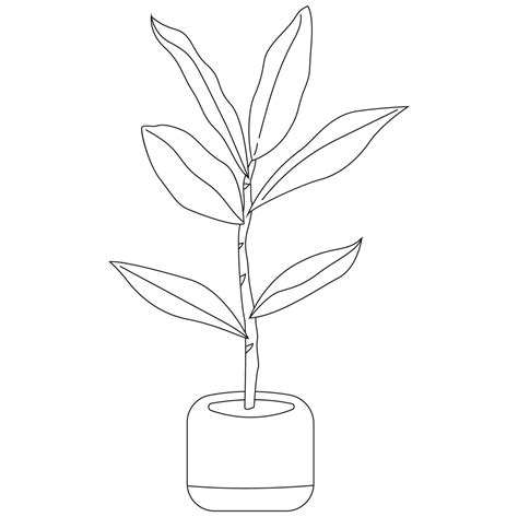 Fiddle Leaf Plant Outline 2d Illustrations 27049351 Png