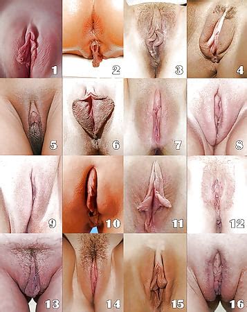 7 Different Face Shapes My XXX Hot Girl