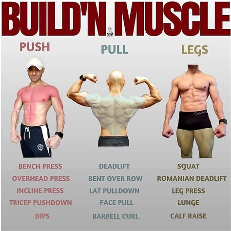 Push Pull Legs Split Day Weight Training Workout Schedule And Plan In Weight