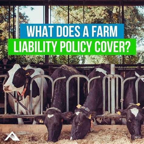 Bodily injury and property damage liability. What Does A Farm Liability Policy Cover? | Advantage Insurance Solutions