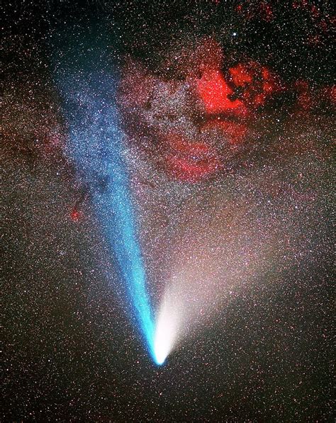 Comet Hale Bopp Photograph By Tony And Daphne Hallasscience Photo