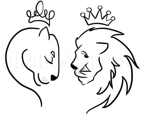 Roar With Creativity Step By Step Guide To Drawing A Lion And Lioness