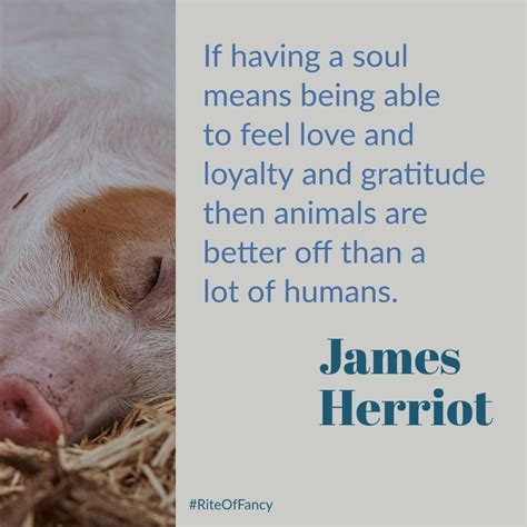 A Book To Read And Love All Creatures Great And Small By James Herriot