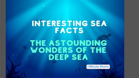 Wonders Of The Deep Sea Interesting Facts 1 Minute Video Youtube