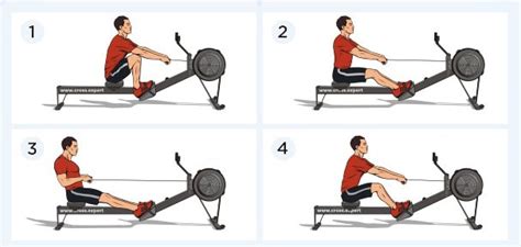 7 Benefits Of Rowing Machine Workout 2023 Workout Guide