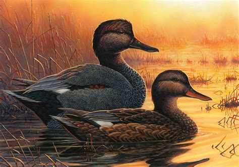 2017fdc203 2017 Federal Duck Stamp Art Contest Entry 203 Us Fish