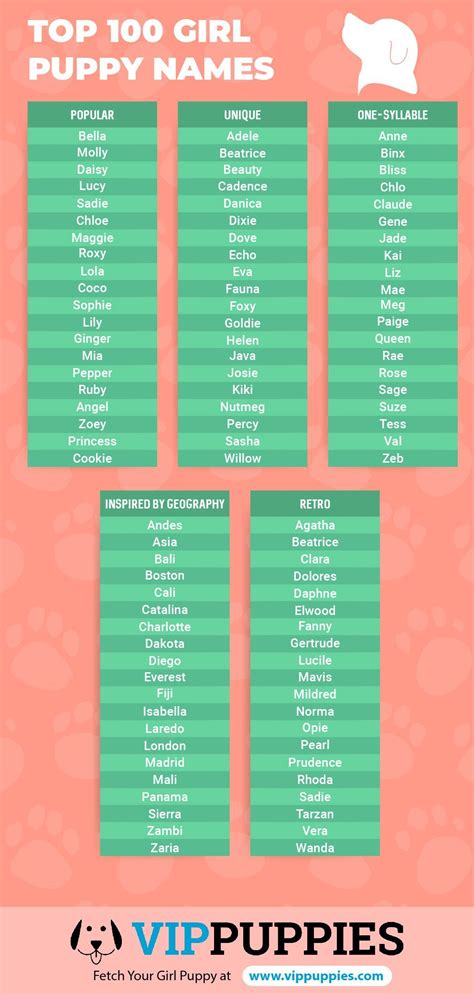 Top girl puppy names infographic. #girlpuppynames | Puppy names, Female dog names, Dog names