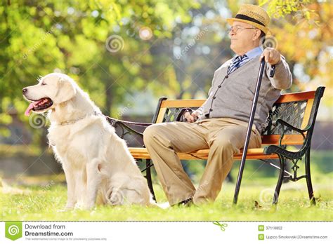 Senior Gentleman Seated On Bench With His Dog Relaxing In Park Stock