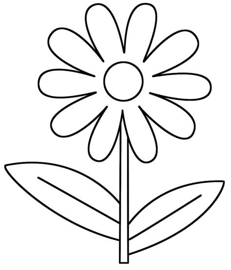 Daisy Coloring Pages At Free Printable Colorings Pages To Print And Color