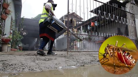 ¿Quieres deshacerte de los zancudos? Descubre cómo solicitar la