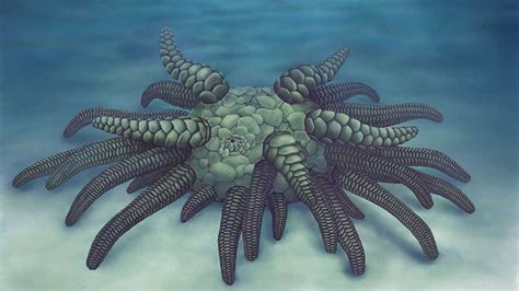 Bizarre Ancient Sea Creature Is Dubbed Sollasina Cthulhu Slashgear