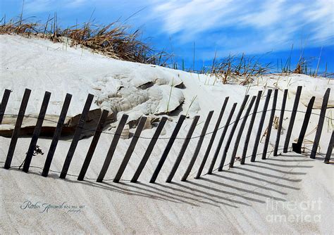 Beach Sand Dune Fence Photograph By Robin Amaral