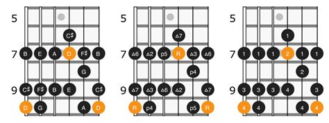 D Major Scale On Guitar Positions And Theory