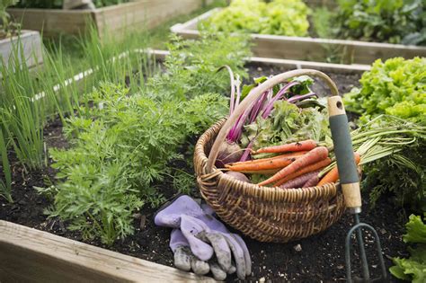 October Gardening To Do List