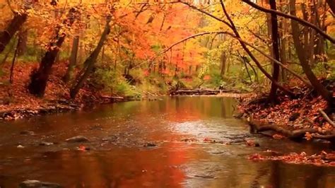Beautiful And Colorful Autumn Scenery Youtube