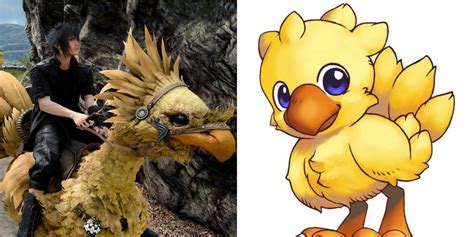 Final Fantasy Things You Didnt Know About Chocobos