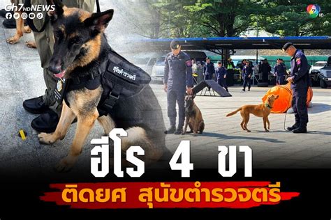 ติดยศ สุนัขตำรวจตรี K 9 ฮีโร่ 4 ขา ร่วมคลี่คดีดัง น้องชมพู ไอซ์หีบเหล็ก
