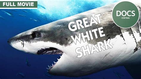 Great White Death 1981 Full Shark Documentary Ft Glenn Ford