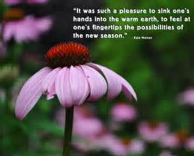 Flowers represent a lot of things for different people. Gardening Quotes - WeNeedFun