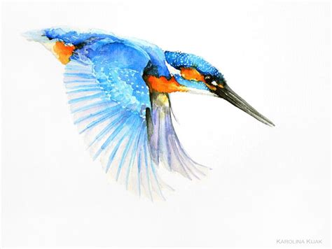 See more ideas about kingfisher, kingfisher tattoo, bird art. kingfisher watercolor by Kakiaart on DeviantArt | Птицы ...
